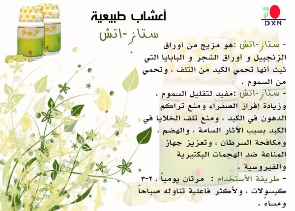 ⁦ستاز H للكبد.   90 كبسوله⁩ - الصورة ⁦2⁩